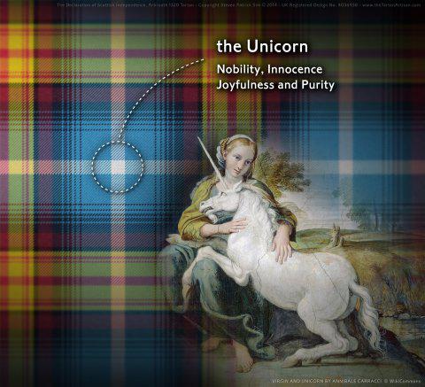 20_Declaration_Tartan_Virgin_and_Unicorn