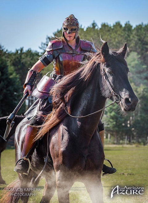 Shieldmaiden Armor, Standard Products